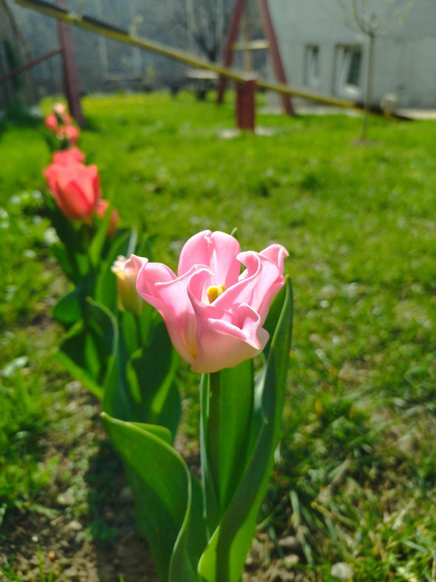 Konak Garavi Sokak Kursumlija Habitación foto